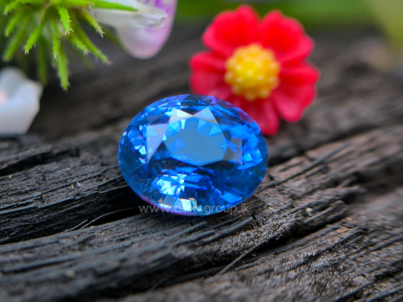 Natural 1.19 ct blue sapphire photographed on a natural background