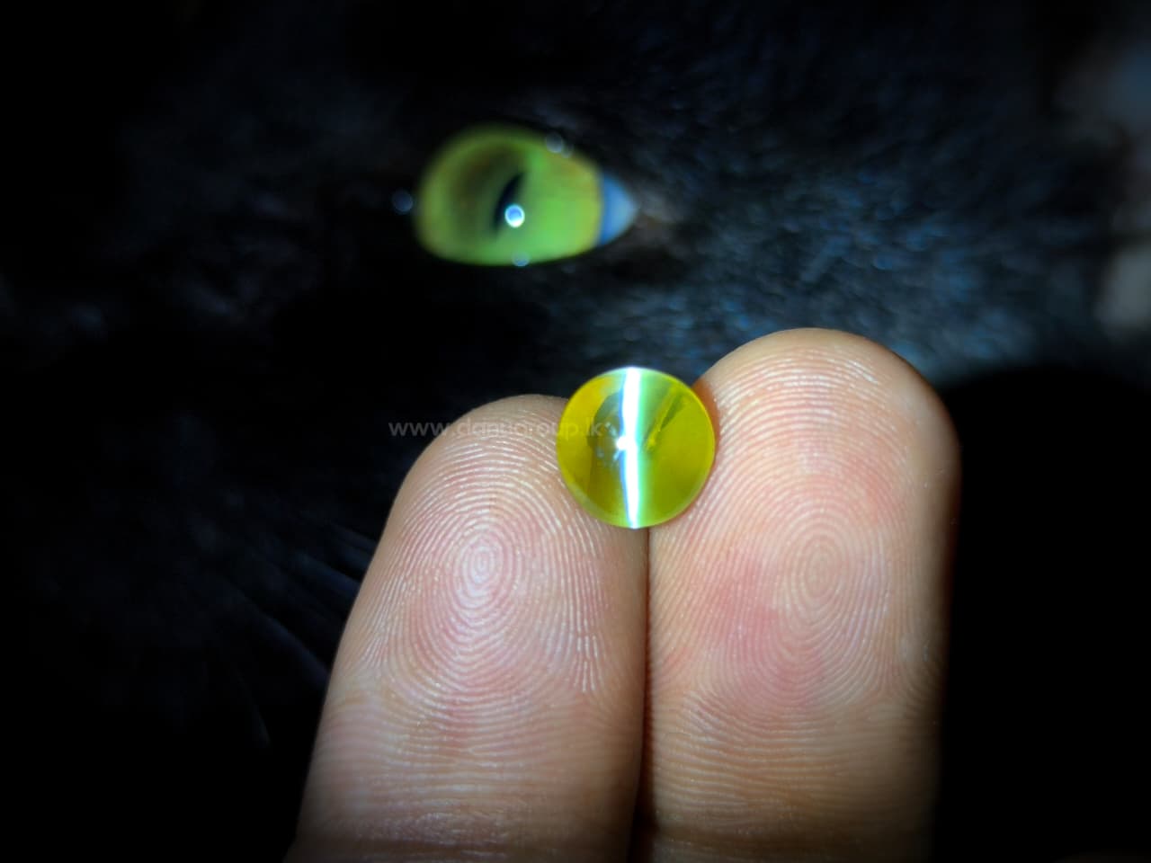NATURAL CHRYSOBERYL CATS EYE