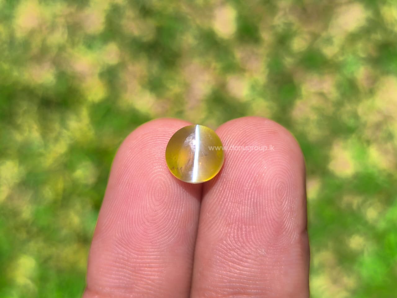 NATURAL CHRYSOBERYL CATS EYE