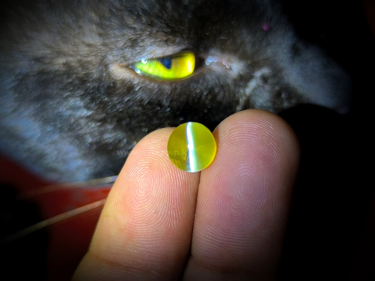 NATURAL CHRYSOBERYL CATS EYE