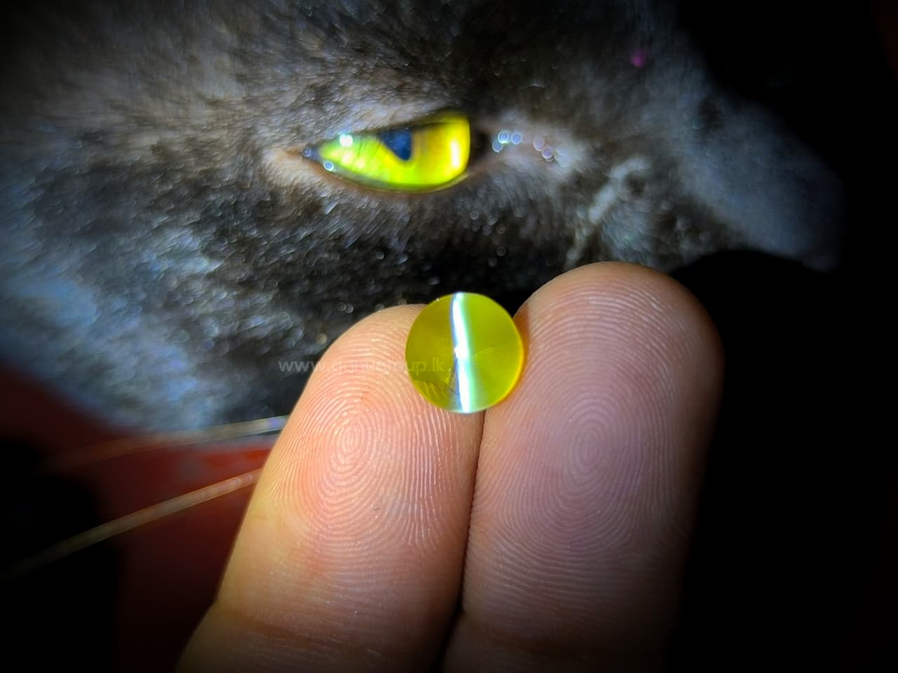 NATURAL CHRYSOBERYL CATS EYE