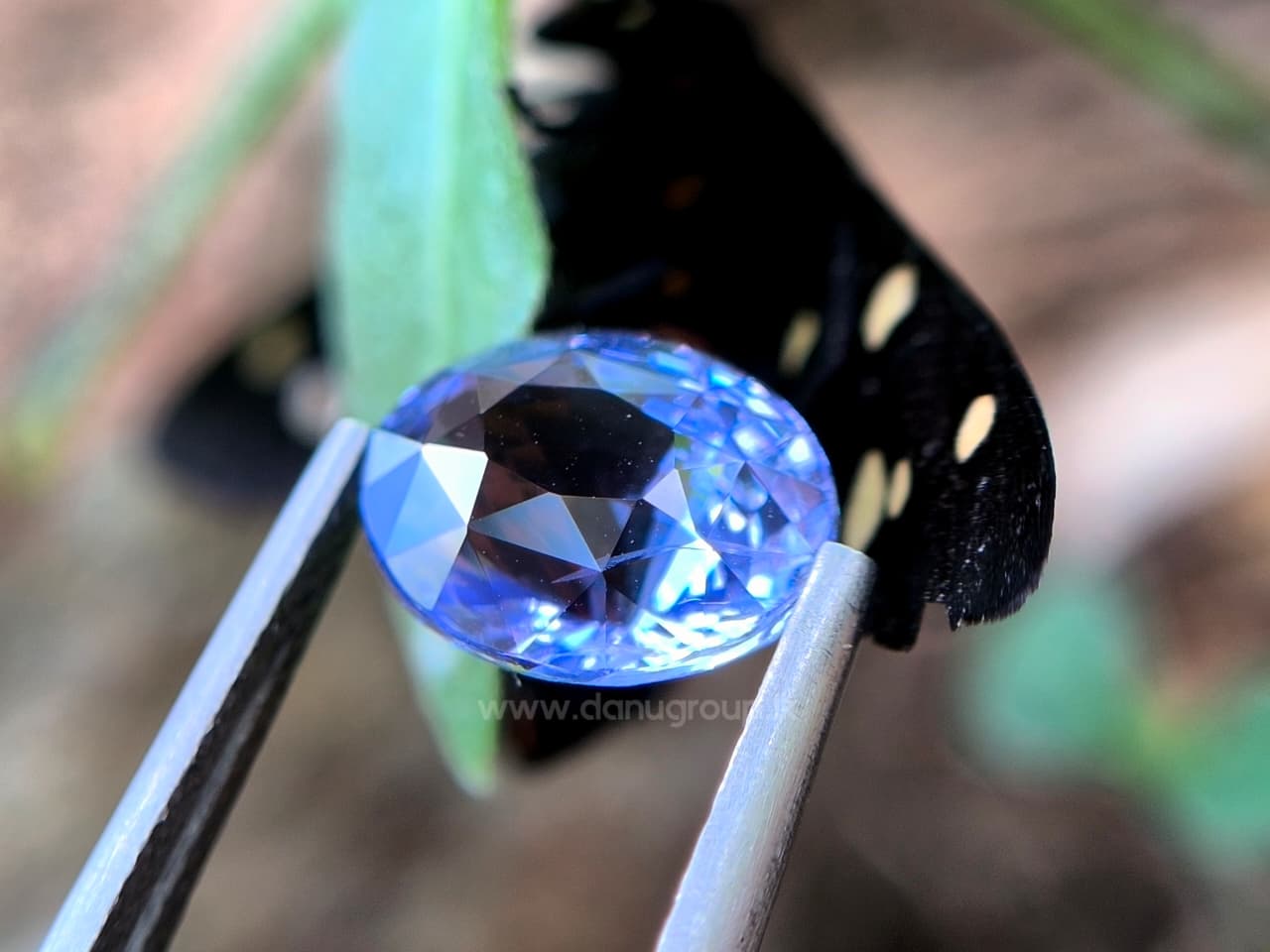 Natural Violetish Blue Sapphire